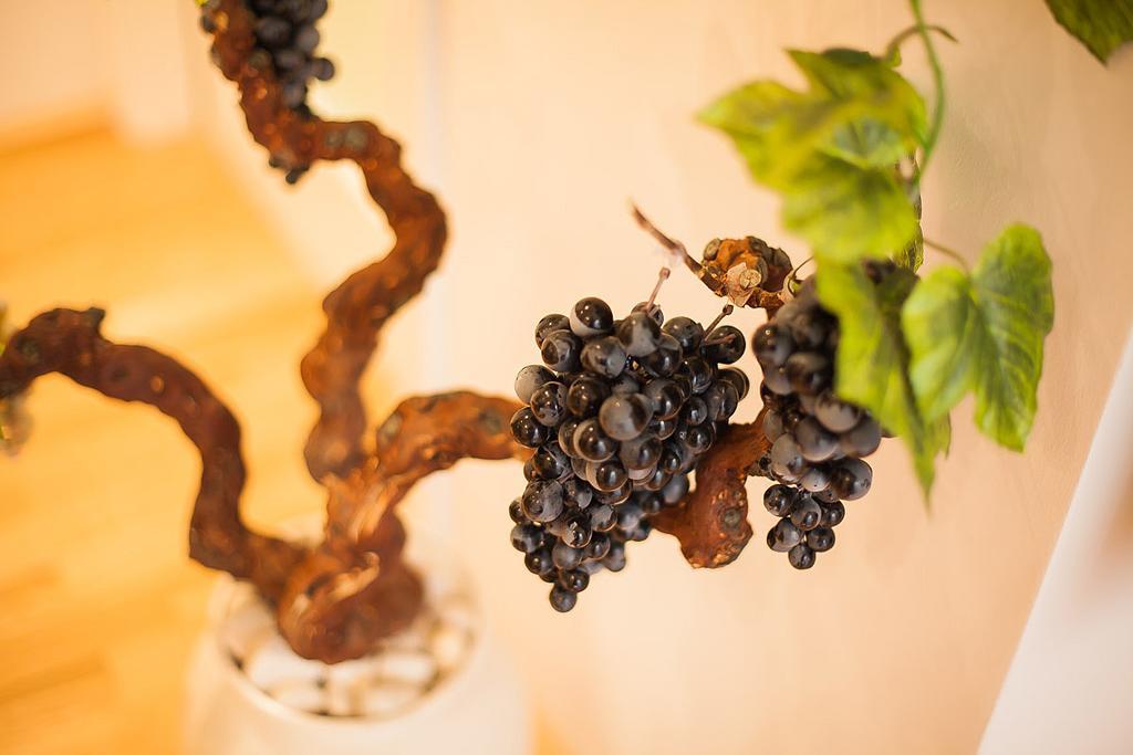 Vineyard Of Sibenik Apartman Szoba fotó
